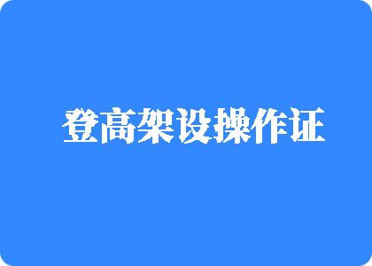 我要看日逼视频网站登高架设操作证